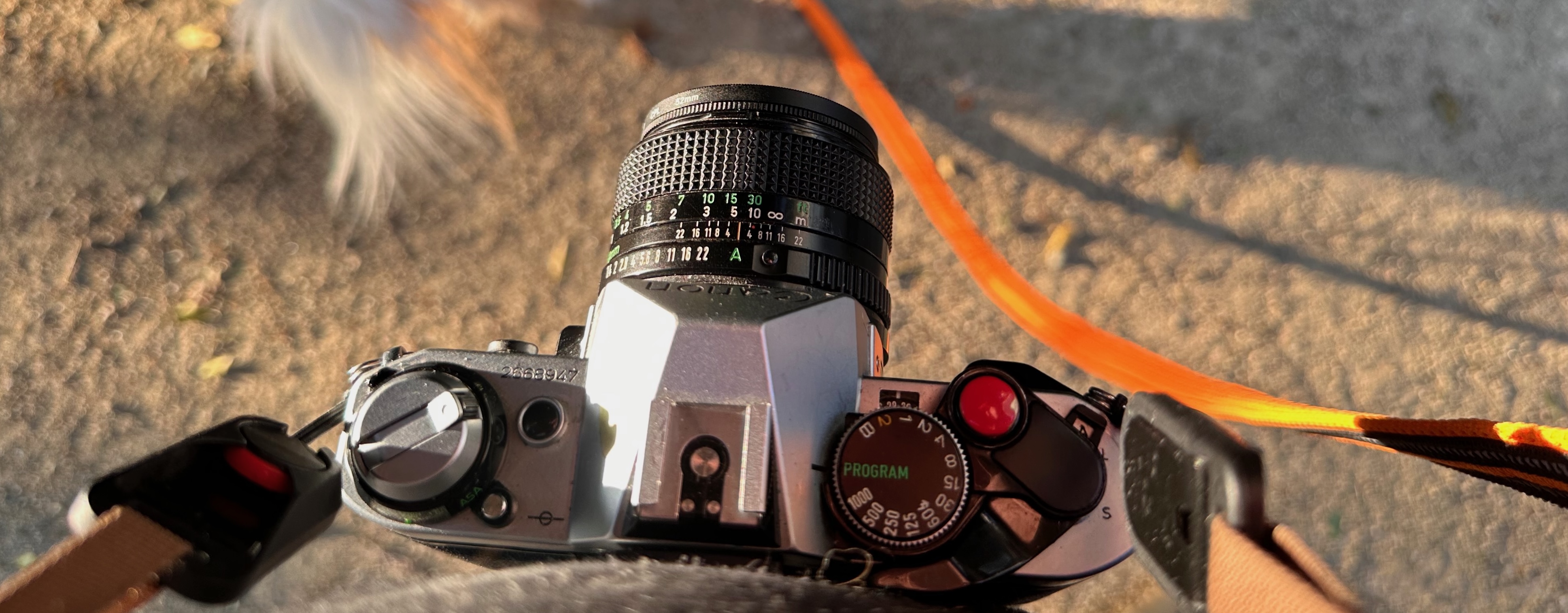 image from Another Type of Shutter Failure on Canon A-Series SLRs